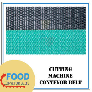 Food Conveyor Belts Manufacturer, Supplier in India