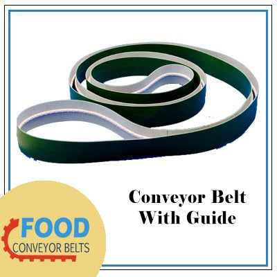Conveyor Belt With Guide